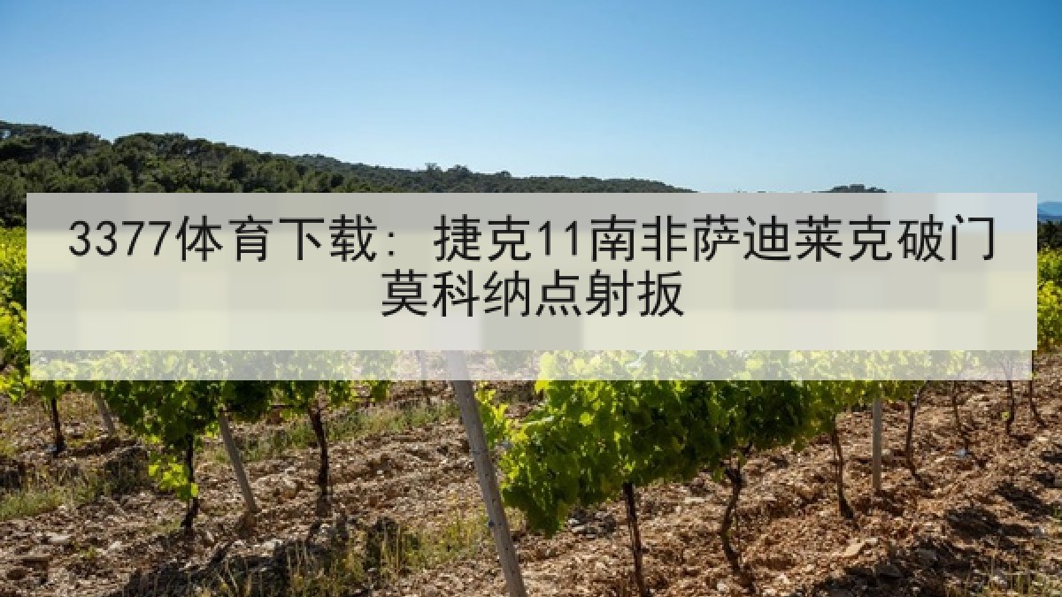 3377体育下载: 捷克11南非萨迪莱克破门莫科纳点射扳