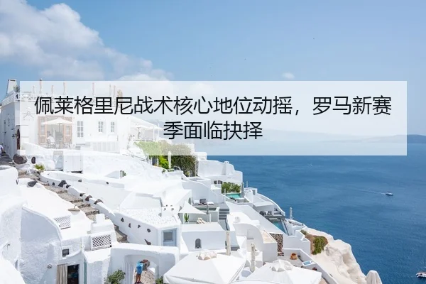 佩莱格里尼战术核心地位动摇，罗马新赛季面临抉择
